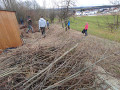Arbeitseinsatz Obstwiese04.jpg